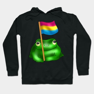 Pansexual LGBTQ Frog Hoodie